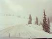 Colorado Hochgebirgsroute- Schnee und Nebel