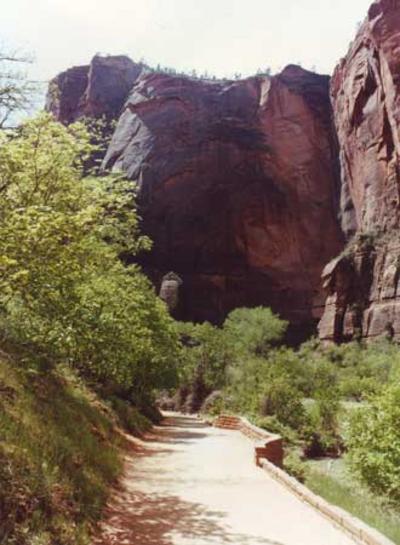 USA Zion National Park - the walk along the canyon
 U.S. Utah Zion National Park - a wonderful journey full of scents, colors and rock formations