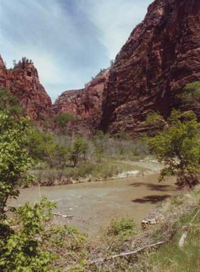 USA Zion National Park - a fantastic riverside
U.S. Utah Zion National Park - the gentle sound of water soothes us very ...