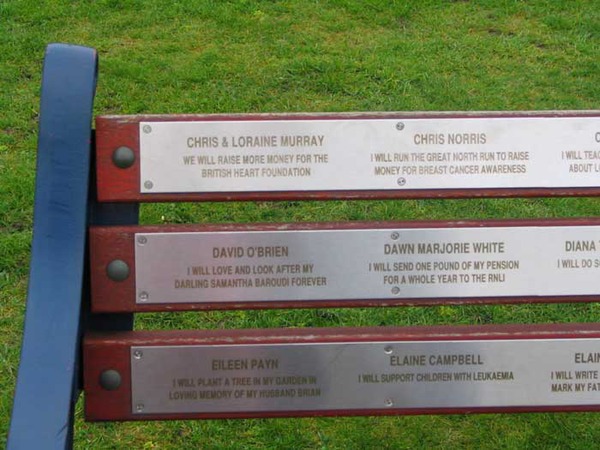 Greenwich park - any park bench has a lot of humorous awards
Greenwich park benches - with numerous awards such as: someone wants to learn to swim, or - always give a smile to everybody....or or....