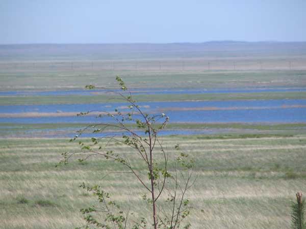 The far country of Kazakhstan is only to be felt..
Kazakh desert - for central europeans an unimaginable dimension