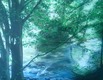 Domenico Stago - ein stimmungsvolles Wald und Wasserbild - eine Inspiration voll positiver Ausstrahlung